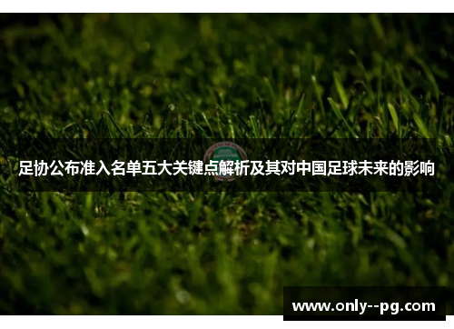 足协公布准入名单五大关键点解析及其对中国足球未来的影响