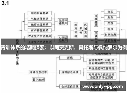 青训体系的精髓探索:以阿贾克斯、桑托斯与佩纳罗尔为例 青训体系的精髓探索:以阿贾克斯、桑托斯与佩纳罗尔为例